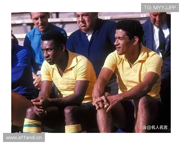 足球巨星们再聚首，探讨未来足球发展的新趋势与挑战分析