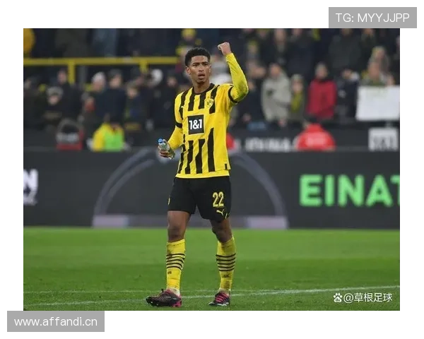 阿德耶米在多特表现